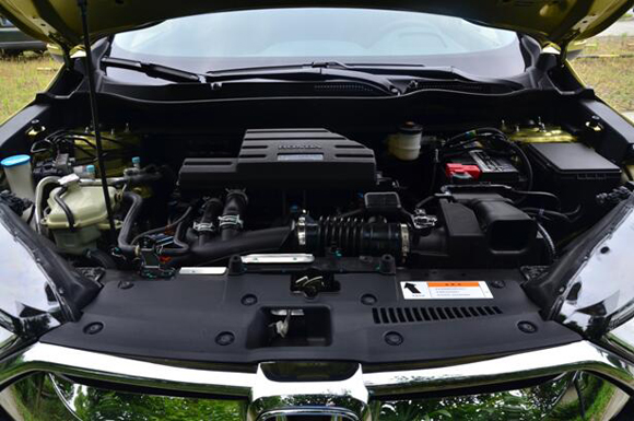 WDCM上传图片 WDCM上传图片