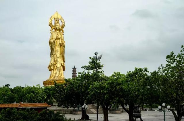 一次洗涤心灵之旅,一台舒缓压力之车