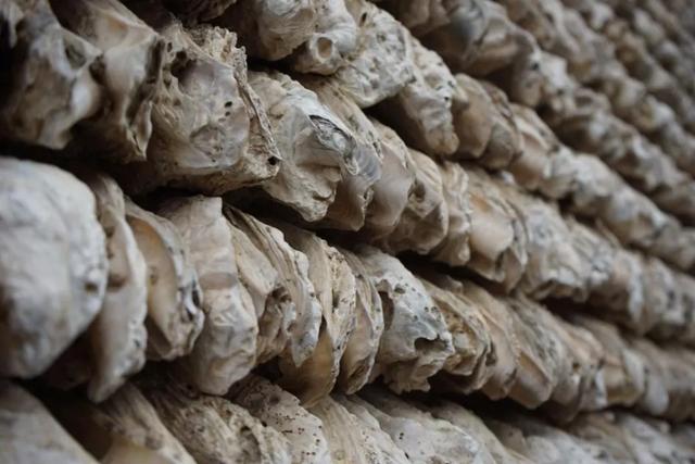 你要的静谧、朴素这里都有 SWM斯威G05带你一同感受