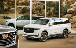 <b>����û�и����⻹������ɣ�ȫ�¿��׵¡���Ĺ�������</b>