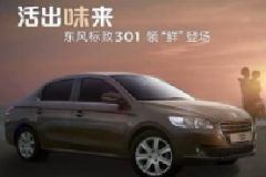 Ҹݶ301 Ϊӷ
