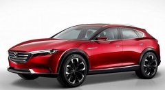 ԴﱱչCX-4רҳʽ