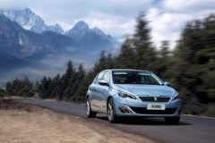 ��Ч����  �������308Sϲ��C-ECAP�׽�����