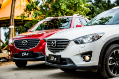 �ϰ��꾢��86467�� �������Դ�˳��ʵ�֡�˫���롱