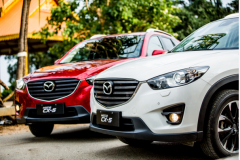 ��������ս2�������չ� �������Դ���ʵ����ս����