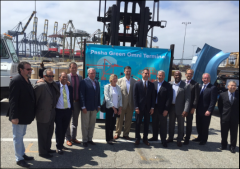 ��ɼ�����ֱ��ǵ� ����ȫ���׸���ɫ����