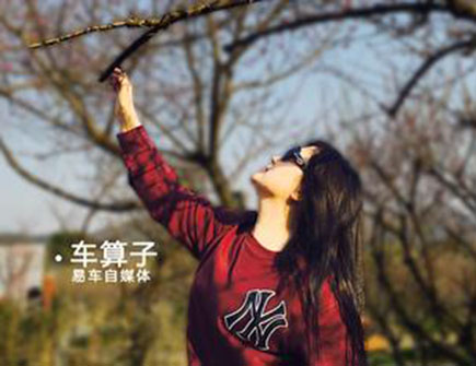 领克如果卖20万 你会买吗?