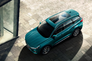 <b>����ʱ�ڣ����Դ�N95���֡��ֳ�ֵ��SUVֵ��һ��</b>