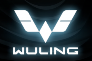 <b>�����ڴ��� ����Ʒ�ƽ���5��25�շ���ȫ��LOGO</b>