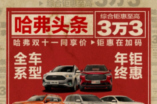 <b>���������������ˣ����˫11��Ȼ���ڼ���</b>